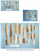 Cronica Cercetărilor Arheologice din România, Campania 2002. Raportul nr. 126, Năvodari, La Ostrov (Lacul Taşaul)<br /><a href='CronicaCAfotografii/2002/126/pl-xviiilame.jpg' target=_blank>Priveşte aceeaşi imagine într-o fereastră nouă</a>