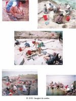 Cronica Cercetărilor Arheologice din România, Campania 2002. Raportul nr. 126, Năvodari, La Ostrov (Lacul Taşaul)<br /><a href='CronicaCAfotografii/2002/126/pl-xviimagsantier.jpg' target=_blank>Priveşte aceeaşi imagine într-o fereastră nouă</a>