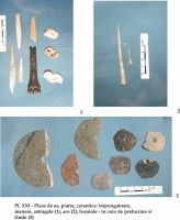 Cronica Cercetărilor Arheologice din România, Campania 2002. Raportul nr. 126, Năvodari, La Ostrov (Lacul Taşaul)<br /><a href='CronicaCAfotografii/2002/126/pl-xxifusaiole.jpg' target=_blank>Priveşte aceeaşi imagine într-o fereastră nouă</a>