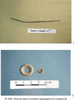 Cronica Cercetărilor Arheologice din România, Campania 2002. Raportul nr. 126, Năvodari, La Ostrov (Lacul Taşaul)<br /><a href='CronicaCAfotografii/2002/126/pl-xxiipodoabe-cu.jpg' target=_blank>Priveşte aceeaşi imagine într-o fereastră nouă</a>