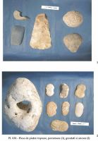 Cronica Cercetărilor Arheologice din România, Campania 2002. Raportul nr. 126, Năvodari, La Ostrov (Lacul Taşaul)<br /><a href='CronicaCAfotografii/2002/126/pl-xxtopoare.jpg' target=_blank>Priveşte aceeaşi imagine într-o fereastră nouă</a>