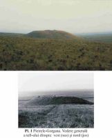 Cronica Cercetărilor Arheologice din România, Campania 2002. Raportul nr. 143, Pietrele, Gorgana<br /><a href='CronicaCAfotografii/2002/143/Pl1.jpg' target=_blank>Priveşte aceeaşi imagine într-o fereastră nouă</a>