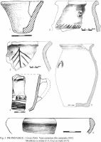 Cronica Cercetărilor Arheologice din România, Campania 2002. Raportul nr. 145, Pietroasa Mică, Gruiu Dării<br /><a href='CronicaCAfotografii/2002/145/03.jpg' target=_blank>Priveşte aceeaşi imagine într-o fereastră nouă</a>