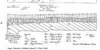 Chronicle of the Archaeological Excavations in Romania, 2002 Campaign. Report no. 146, Pietroasele, Valea Bazinului<br /><a href='CronicaCAfotografii/2002/146/06.jpg' target=_blank>Display the same picture in a new window</a>