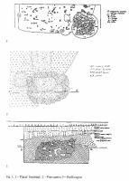 Chronicle of the Archaeological Excavations in Romania, 2002 Campaign. Report no. 146, Pietroasele, Staţiunea de Cercetări Viti-Vinicole Pietroasa (SCV Pietroasa)<br /><a href='CronicaCAfotografii/2002/146/07.jpg' target=_blank>Display the same picture in a new window</a>