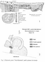 Chronicle of the Archaeological Excavations in Romania, 2002 Campaign. Report no. 146, Pietroasele, Valea Bazinului<br /><a href='CronicaCAfotografii/2002/146/11.jpg' target=_blank>Display the same picture in a new window</a>