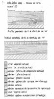 Chronicle of the Archaeological Excavations in Romania, 2002 Campaign. Report no. 156, Răcătău De Jos, Movila lui Cerbu (La Movilă, La Moghiliţă)<br /><a href='CronicaCAfotografii/2002/156/03.jpg' target=_blank>Display the same picture in a new window</a>