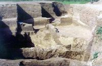 Chronicle of the Archaeological Excavations in Romania, 2002 Campaign. Report no. 156, Răcătău De Jos, Movila lui Cerbu (La Movilă, La Moghiliţă)<br /><a href='CronicaCAfotografii/2002/156/10.jpg' target=_blank>Display the same picture in a new window</a>