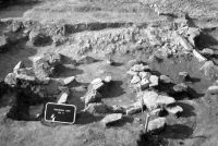 Cronica Cercetărilor Arheologice din România, Campania 2002. Raportul nr. 166, Ruginoasa, Dealul Drăghici<br /><a href='CronicaCAfotografii/2002/166/Rug2.jpg' target=_blank>Priveşte aceeaşi imagine într-o fereastră nouă</a>