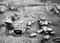 Cronica Cercetărilor Arheologice din România, Campania 2002. Raportul nr. 166, Ruginoasa, Dealul Drăghici<br /><a href='CronicaCAfotografii/2002/166/Rug4.jpg' target=_blank>Priveşte aceeaşi imagine într-o fereastră nouă</a>