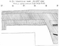 Cronica Cercetărilor Arheologice din România, Campania 2002. Raportul nr. 172, Sânnicolau Mare, Selişte (Ferma Bata)<br /><a href='CronicaCAfotografii/2002/172/abej3.jpg' target=_blank>Priveşte aceeaşi imagine într-o fereastră nouă</a>