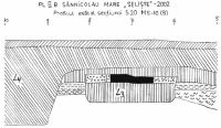 Cronica Cercetărilor Arheologice din România, Campania 2002. Raportul nr. 172, Sânnicolau Mare, Selişte (Ferma Bata)<br /><a href='CronicaCAfotografii/2002/172/abej6.jpg' target=_blank>Priveşte aceeaşi imagine într-o fereastră nouă</a>