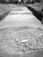 Cronica Cercetărilor Arheologice din România, Campania 2002. Raportul nr. 175, Scânteia, La Nuci (Dealul Bodeştilor).<br /> Sectorul Rezerve.<br /><a href='CronicaCAfotografii/2002/175/Scant2.jpg' target=_blank>Priveşte aceeaşi imagine într-o fereastră nouă</a>