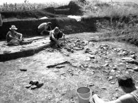 Cronica Cercetărilor Arheologice din România, Campania 2002. Raportul nr. 175, Scânteia, La Nuci (Dealul Bodeştilor).<br /> Sectorul Rezerve.<br /><a href='CronicaCAfotografii/2002/175/Scant3.jpg' target=_blank>Priveşte aceeaşi imagine într-o fereastră nouă</a>