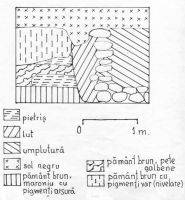 Chronicle of the Archaeological Excavations in Romania, 2002 Campaign. Report no. 181, Sibiu, str. Avram Iancu nr. 11<br /><a href='CronicaCAfotografii/2002/181/03.jpg' target=_blank>Display the same picture in a new window</a>