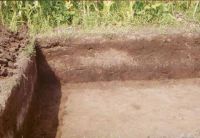 Chronicle of the Archaeological Excavations in Romania, 2002 Campaign. Report no. 186, Siret, Dealul Ruina<br /><a href='CronicaCAfotografii/2002/186/siret3.jpg' target=_blank>Display the same picture in a new window</a>