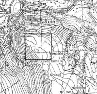 Cronica Cercetărilor Arheologice din România, Campania 2002. Raportul nr. 186, Siret, Dealul Ruina<br /><a href='CronicaCAfotografii/2002/186/topo.jpg' target=_blank>Priveşte aceeaşi imagine într-o fereastră nouă</a>