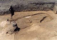 Cronica Cercetărilor Arheologice din România, Campania 2002. Raportul nr. 188, Stelnica, Grădiştea Mare<br /><a href='CronicaCAfotografii/2002/188/07.jpg' target=_blank>Priveşte aceeaşi imagine într-o fereastră nouă</a>