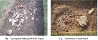 Chronicle of the Archaeological Excavations in Romania, 2002 Campaign. Report no. 192, Suplacu De Barcău, Corău I, II, III<br /><a href='CronicaCAfotografii/2002/192/suplacfig11-12-doc-1.jpg' target=_blank>Display the same picture in a new window</a>