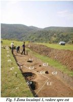 Chronicle of the Archaeological Excavations in Romania, 2002 Campaign. Report no. 192, Suplacu De Barcău, Corău I, II, III<br /><a href='CronicaCAfotografii/2002/192/suplacfig5-doc-1.jpg' target=_blank>Display the same picture in a new window</a>