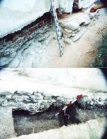 Chronicle of the Archaeological Excavations in Romania, 2002 Campaign. Report no. 200, Târgovişte, Biserica Creţulescu<br /><a href='CronicaCAfotografii/2002/200/d01.jpg' target=_blank>Display the same picture in a new window</a>