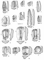 Cronica Cercetărilor Arheologice din România, Campania 2002. Raportul nr. 202, Târgu Frumos, Baza Pătule<br /><a href='CronicaCAfotografii/2002/202/fig-2.jpg' target=_blank>Priveşte aceeaşi imagine într-o fereastră nouă</a>