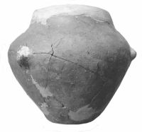 Cronica Cercetărilor Arheologice din România, Campania 2002. Raportul nr. 209, Ţaga, Baza Arheologică (Păşune)<br /><a href='CronicaCAfotografii/2002/209/Taga8.jpg' target=_blank>Priveşte aceeaşi imagine într-o fereastră nouă</a>