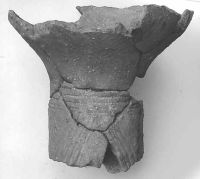 Cronica Cercetărilor Arheologice din România, Campania 2002. Raportul nr. 209, Ţaga, Baza Arheologică (Păşune)<br /><a href='CronicaCAfotografii/2002/209/Taga9.jpg' target=_blank>Priveşte aceeaşi imagine într-o fereastră nouă</a>