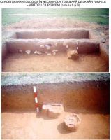 Chronicle of the Archaeological Excavations in Romania, 2002 Campaign. Report no. 214, Vârtopu, Vârtoapele<br /><a href='CronicaCAfotografii/2002/214/01.jpg' target=_blank>Display the same picture in a new window</a>