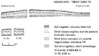 Chronicle of the Archaeological Excavations in Romania, 2003 Campaign. Report no. 4, Adâncata, Imaş.<br /> Sector T6-2003.<br /><a href='CronicaCAfotografii/2003/004/T6-2003/adancata-profil-t6-2002.jpg' target=_blank>Display the same picture in a new window</a>. Title: T6-2003