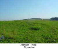 Chronicle of the Archaeological Excavations in Romania, 2003 Campaign. Report no. 4, Adâncata, Imaş.<br /> Sector T8-2003.<br /><a href='CronicaCAfotografii/2003/004/T8-2003/adancata-t8-2003-a.JPG' target=_blank>Display the same picture in a new window</a>. Title: T8-2003