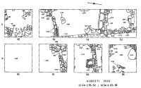 Cronica Cercetărilor Arheologice din România, Campania 2003. Raportul nr. 19, Albeşti, La Cetate<br /><a href='CronicaCAfotografii/2003/019/albesti-plan-2003.jpg' target=_blank>Priveşte aceeaşi imagine într-o fereastră nouă</a>