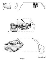 Cronica Cercetărilor Arheologice din România, Campania 2003. Raportul nr. 20, Albiş, Curtea lui Bajka Ferenc<br /><a href='CronicaCAfotografii/2003/020/albis-plansa-i.jpg' target=_blank>Priveşte aceeaşi imagine într-o fereastră nouă</a>
