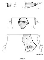 Cronica Cercetărilor Arheologice din România, Campania 2003. Raportul nr. 20, Albiş, Curtea lui Bajka Ferenc<br /><a href='CronicaCAfotografii/2003/020/albis-plansa-iii.jpg' target=_blank>Priveşte aceeaşi imagine într-o fereastră nouă</a>