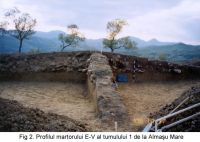 Chronicle of the Archaeological Excavations in Romania, 2003 Campaign. Report no. 21, Almaşu Mare, La Cruce<br /><a href='CronicaCAfotografii/2003/021/almasu-mare-fig-2.jpg' target=_blank>Display the same picture in a new window</a>