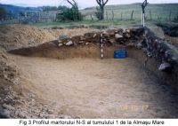 Chronicle of the Archaeological Excavations in Romania, 2003 Campaign. Report no. 21, Almaşu Mare, La Cruce<br /><a href='CronicaCAfotografii/2003/021/almasu-mare-fig-3.jpg' target=_blank>Display the same picture in a new window</a>