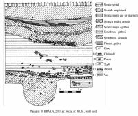 Cronica Cercetărilor Arheologice din România, Campania 2003. Raportul nr. 38, Brăila, cartier Biserica Veche<br /><a href='CronicaCAfotografii/2003/038/braila-pl-10.jpg' target=_blank>Priveşte aceeaşi imagine într-o fereastră nouă</a>