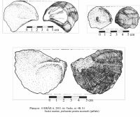 Cronica Cercetărilor Arheologice din România, Campania 2003. Raportul nr. 38, Brăila, cartier Biserica Veche<br /><a href='CronicaCAfotografii/2003/038/braila-pl-14.jpg' target=_blank>Priveşte aceeaşi imagine într-o fereastră nouă</a>