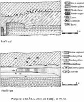 Cronica Cercetărilor Arheologice din România, Campania 2003. Raportul nr. 38, Brăila, cartier Biserica Veche<br /><a href='CronicaCAfotografii/2003/038/braila-pl-2.jpg' target=_blank>Priveşte aceeaşi imagine într-o fereastră nouă</a>