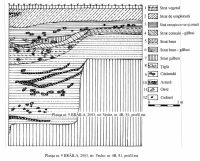 Cronica Cercetărilor Arheologice din România, Campania 2003. Raportul nr. 38, Brăila, cartier Biserica Veche<br /><a href='CronicaCAfotografii/2003/038/braila-pl-9.jpg' target=_blank>Priveşte aceeaşi imagine într-o fereastră nouă</a>