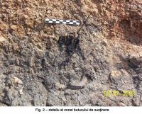 Cronica Cercetărilor Arheologice din România, Campania 2003. Raportul nr. 39, Bucşani, La Pod<br /><a href='CronicaCAfotografii/2003/039/bucsani-fig-2.JPG' target=_blank>Priveşte aceeaşi imagine într-o fereastră nouă</a>
