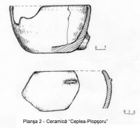 Cronica Cercetărilor Arheologice din România, Campania 2003. Raportul nr. 53, Ceplea, Biserica Dacilor (Valea Satului; Casa Cepleanu)<br /><a href='CronicaCAfotografii/2003/053/ceplea-valea-satului-pl-2.jpg' target=_blank>Priveşte aceeaşi imagine într-o fereastră nouă</a>