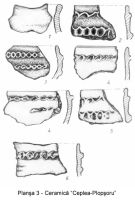 Cronica Cercetărilor Arheologice din România, Campania 2003. Raportul nr. 53, Ceplea, Biserica Dacilor (Valea Satului; Casa Cepleanu)<br /><a href='CronicaCAfotografii/2003/053/ceplea-valea-satului-pl-3.jpg' target=_blank>Priveşte aceeaşi imagine într-o fereastră nouă</a>