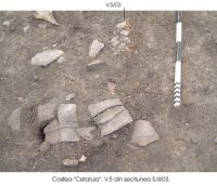 Cronica Cercetărilor Arheologice din România, Campania 2003. Raportul nr. 61, Costişa, Dealul Cetăţuia<br /><a href='CronicaCAfotografii/2003/061/Costisa-Cetatuia-4.jpg' target=_blank>Priveşte aceeaşi imagine într-o fereastră nouă</a>