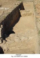 Cronica Cercetărilor Arheologice din România, Campania 2003. Raportul nr. 66, Dalboşeţ, Dragomireana<br /><a href='CronicaCAfotografii/2003/066/Dalboset-3.jpg' target=_blank>Priveşte aceeaşi imagine într-o fereastră nouă</a>