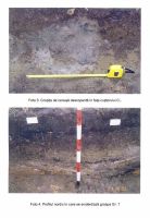 Cronica Cercetărilor Arheologice din România, Campania 2003. Raportul nr. 74, Fulgeriş, La Trei Cireşi (Dealul Fulgeriş).<br /> Sectorul Ilustratie.<br /><a href='CronicaCAfotografii/2003/074/Fulgeris-2.jpg' target=_blank>Priveşte aceeaşi imagine într-o fereastră nouă</a>