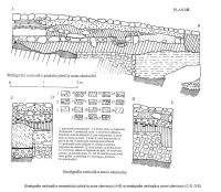 Cronica Cercetărilor Arheologice din România, Campania 2003. Raportul nr. 89, Hunedoara, Castelul Corvineştilor<br /><a href='CronicaCAfotografii/2003/089/hd-turn-poarta-turn-nou-plan-3.jpg' target=_blank>Priveşte aceeaşi imagine într-o fereastră nouă</a>