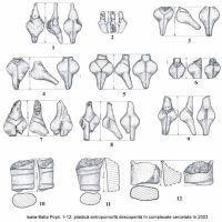 Cronica Cercetărilor Arheologice din România, Campania 2003. Raportul nr. 92, Isaiia, Balta Popii<br /><a href='CronicaCAfotografii/2003/092/Isaiia-007.jpg' target=_blank>Priveşte aceeaşi imagine într-o fereastră nouă</a>