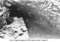 Chronicle of the Archaeological Excavations in Romania, 2003 Campaign. Report no. 97, Jurilovca, Capul Dolojman.<br /> Sector sectorICEM.<br /><a href='CronicaCAfotografii/2003/097/sectorICEM/jurilovca-argamum-cas-3-sector-icem.JPG' target=_blank>Display the same picture in a new window</a>. Title: sectorICEM