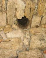 Cronica Cercetărilor Arheologice din România, Campania 2003. Raportul nr. 106, Mangalia<br /><a href='CronicaCAfotografii/2003/106/Mangalia-Biogaz-6.jpg' target=_blank>Priveşte aceeaşi imagine într-o fereastră nouă</a>